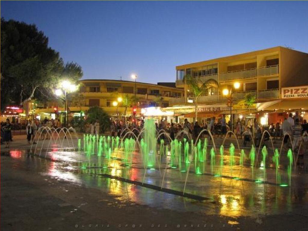 183 D25 BORMES LES MIMOSAS 3_000007.jpg
